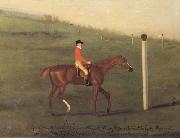Francis Sartorius 'Eclipse' with Jockey up walking the Course for the King's Plate 1776 oil painting picture wholesale